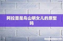 阿拉蕾是鸟山明女儿的原型吗