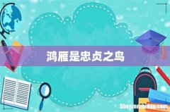 鸿雁是忠贞之鸟