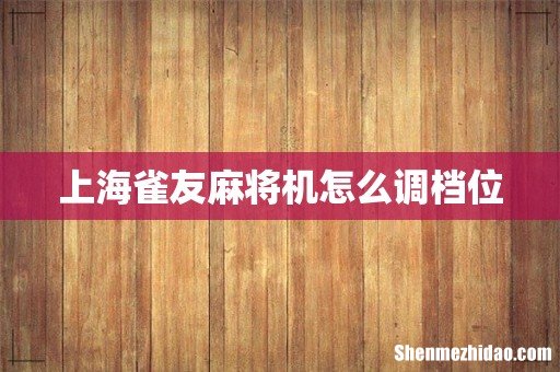 上海雀友麻将机怎么调档位