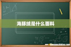 海豚绒是什么面料