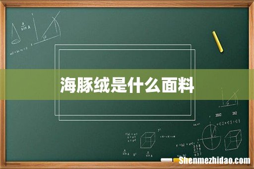 海豚绒是什么面料
