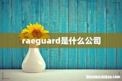raeguard是什么公司