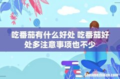 吃番茄有什么好处 吃番茄好处多注意事项也不少
