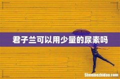 君子兰可以用少量的尿素吗