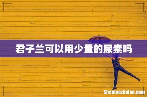 君子兰可以用少量的尿素吗