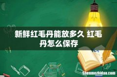 新鲜红毛丹能放多久 红毛丹怎么保存