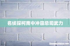 名侦探柯南中冲田总司武力