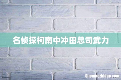 名侦探柯南中冲田总司武力