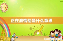 正在渡情劫是什么意思