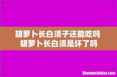 胡萝卜长白须子还能吃吗 胡萝卜长白须是坏了吗