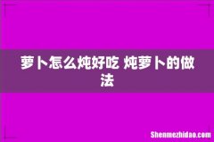 萝卜怎么炖好吃 炖萝卜的做法