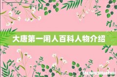 大唐第一闲人百科人物介绍
