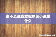 来不及说我爱你原著小说是什么