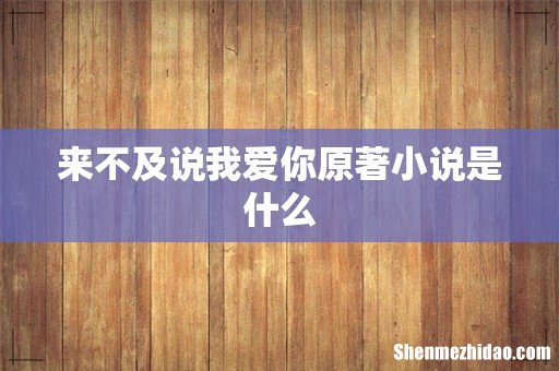 来不及说我爱你原著小说是什么