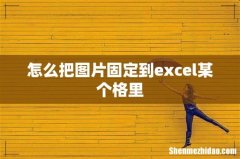 怎么把图片固定到excel某个格里