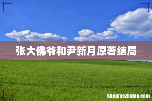 张大佛爷和尹新月原著结局