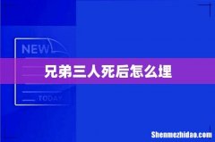 兄弟三人死后怎么埋