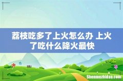 荔枝吃多了上火怎么办 上火了吃什么降火最快