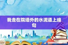 我走在院墙外的水泥道上缩句