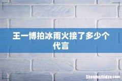 王一博拍冰雨火接了多少个代言