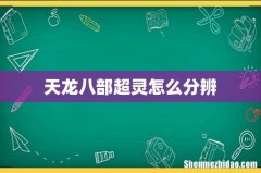 天龙八部超灵怎么分辨