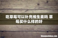 吃草莓可以补充维生素吗 草莓买什么样的好