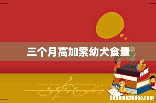 三个月高加索幼犬食量