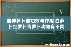 各种萝卜的功效与作用 白萝卜红萝卜青萝卜功效有不同