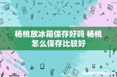杨桃放冰箱保存好吗 杨桃怎么保存比较好