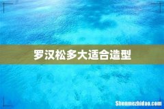 罗汉松多大适合造型