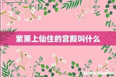 紫薰上仙住的宫殿叫什么