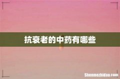抗衰老的中药有哪些