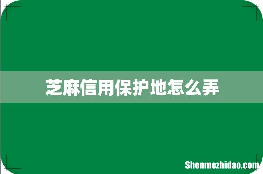 芝麻信用保护地怎么弄