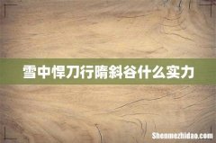 雪中悍刀行隋斜谷什么实力