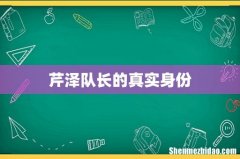 芹泽队长的真实身份
