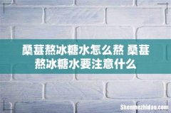 桑葚熬冰糖水怎么熬 桑葚熬冰糖水要注意什么