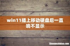 win11插上移动硬盘后一直响不显示