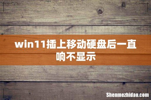 win11插上移动硬盘后一直响不显示