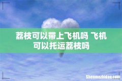 荔枝可以带上飞机吗 飞机可以托运荔枝吗