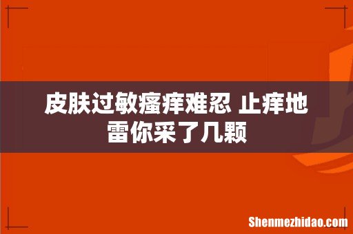 皮肤过敏瘙痒难忍 止痒地雷你采了几颗
