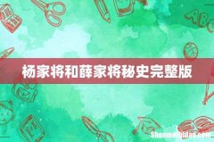 杨家将和薛家将秘史完整版