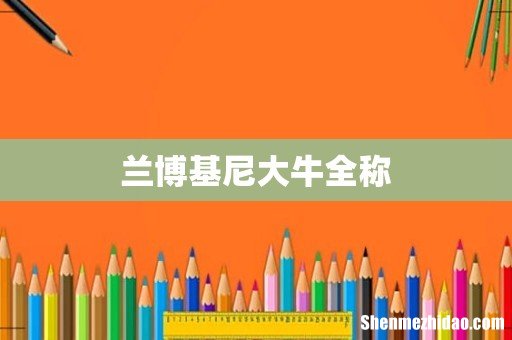兰博基尼大牛全称