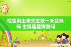 榴莲剥出来夹生放一天会熟吗 生榴莲能烤熟吗
