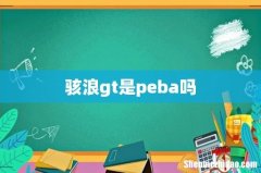 骇浪gt是peba吗