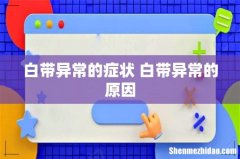 白带异常的症状 白带异常的原因