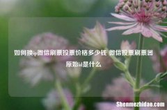如何换ip微信刷票投票价格多少钱 微信投票刷票器原始id是什么