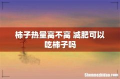 柿子热量高不高 减肥可以吃柿子吗