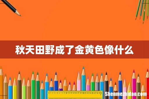 秋天田野成了金黄色像什么