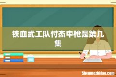 铁血武工队付杰中枪是第几集