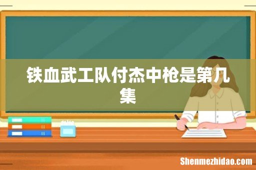 铁血武工队付杰中枪是第几集